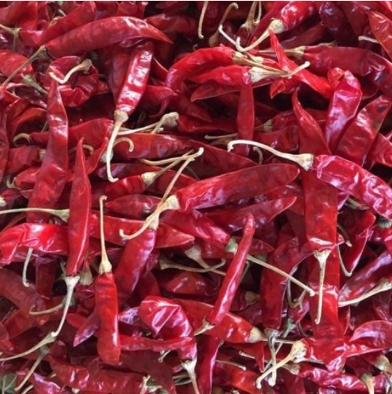Guntur Sannam S4 and 334 red chilli for export