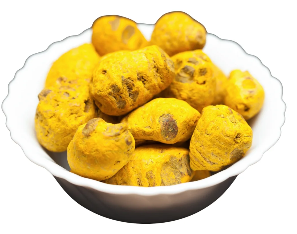 Indian turmeric bulbs mother rhizomes for export
